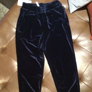Navy velour track pants, NWT,  XS